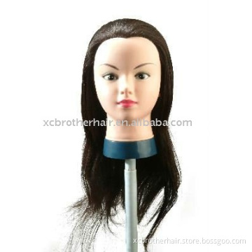Fashion 100% human hair training head
